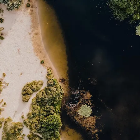 דירה Ozzy's House